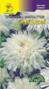 Хризантема Махровая белая ЦС