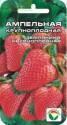 Клубника Ампельная СС