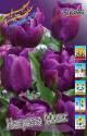 Тюльпан Негрита Микс 11/12 100 шт 