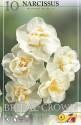 Нарцисс Брайдел Кроун12-14