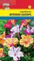 Мирабилис Броукен колорс УУ
