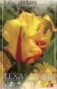 Тюльпан Техас Флейм попугайные 7 шт 11/12
