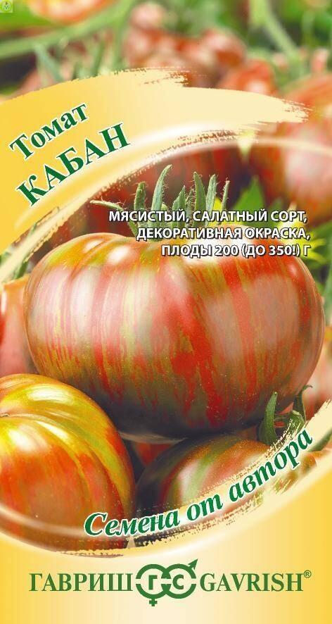 Томат Кабан полосатый Гав