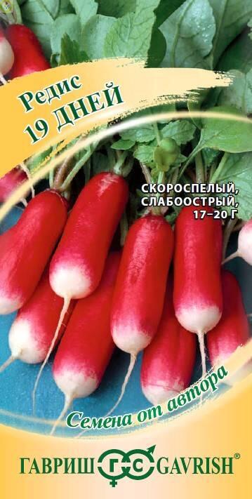 Редис 19 дней Гав
