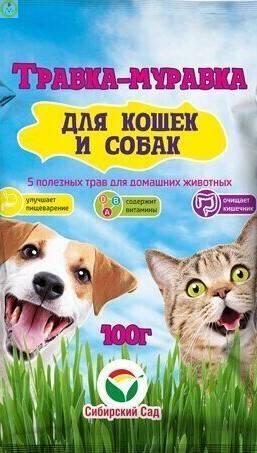 Трава для кошек и собак Травка-муравка СС