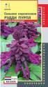Сальвия Рэдди пурпл (серия Reddy) Плз