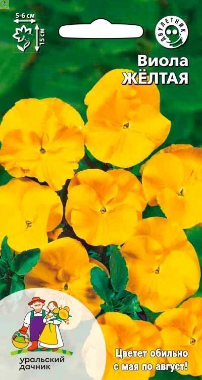 Виола Жёлтая УД