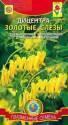 Дицентра Золотые слезы Плз