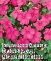 Бальзамин Уоллера Карнавал металик пинк F1 Гав
