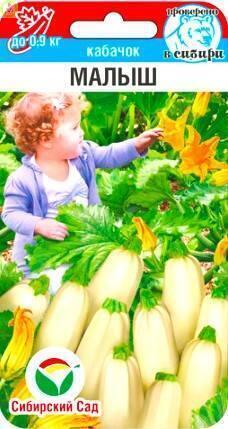 Кабачок Малыш СС