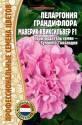 Пеларгония грандифлора Маверик Квиксильвер Реш