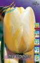 Тюльпан Яп Гроот 10 шт