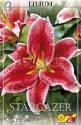 Лилия Старгайзер 16/+ 3 шт