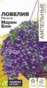 Лобелия Регатта Марин Блю ампельная СА
