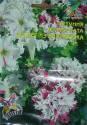 Петуния Привет из Яромнержа ССО
