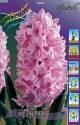 Гиацинт Пинк 3 шт 14/15