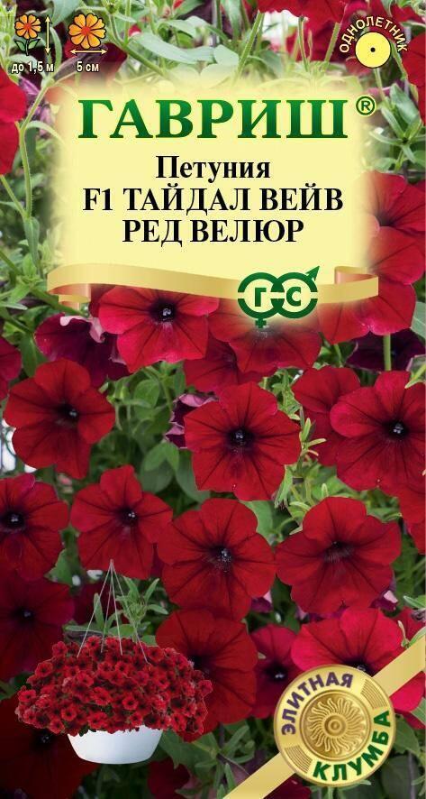 Петуния Тайдал Вейв ред велюр суперкаскад. Гав