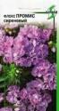 Флокс Промис сиреневый ССО