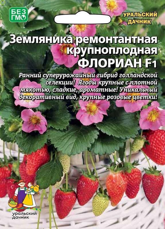 Земляника Флориан F1 Б/Ф УД