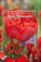 Тюльпан Ред Принцесс махровые ранние 7 шт 11/12