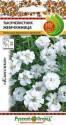 Тысячелистник Жемчужница НК