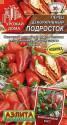 Перец Подросток острый декоративный Аэл