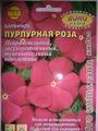 Барвинок Пурпурная роза Аэл