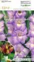 Гладиолус Сиреневая свадьба гофр. 12/14