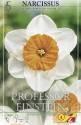Нарцисс Профессор Энштейн крупноцветковый 5 шт 12-14