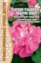 Пеларгония Грандифлора Маверик Пинк Реш