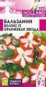 Бальзамин Беленс Оранжевая звезда СА