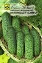 Огурец Кумбор F1 Сем