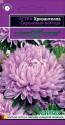 Астра Хризантелла Сиреневый восторг Гав