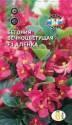 Бегония Аленка вечноцветущая малиново-розовая Сед