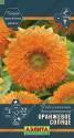 Подсолнечник декор. Оранжевое солнце махровый Аэл