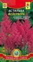 Астильба Фейверверк Плз