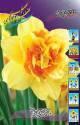 Нарцисс Texas махровые 14/16 50 шт