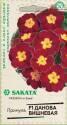 Примула Данова вишневая F1 Саката Гав