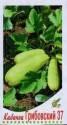 Кабачок Грибовский 37 ССО