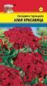 Гвоздика турецкая Алая красавица УУ