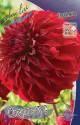 Георгина Спартакус 15 шт 