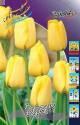 Тюльпан Гарант 11/12 100 шт