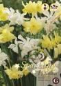 Микс нарциссов Желто-белых, многоцветковых 10/12 15шт