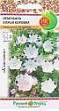 Немофила Божья коровка НК
