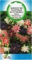 Аквилегия Колумбина смесь ССО
