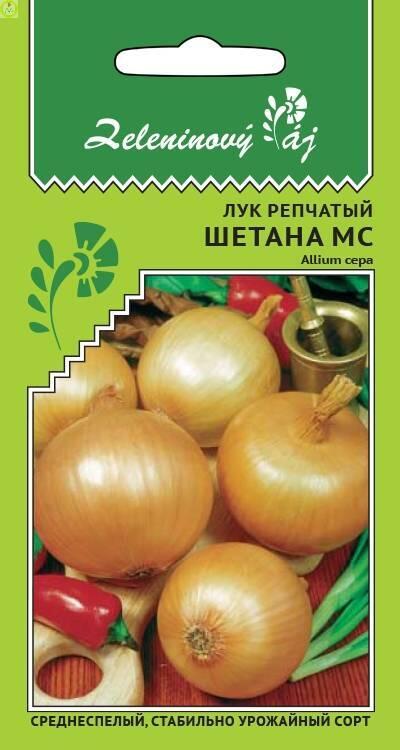 Лук репчатый Шетана УД
