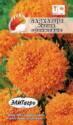 Бархатцы Купид оранжевый Аэл