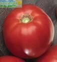Томат Усмань F1 ССО