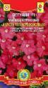 Петуния Карлик темно-лососевая миницветковая F1 Плз