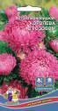 Астра Королева в розовом УД